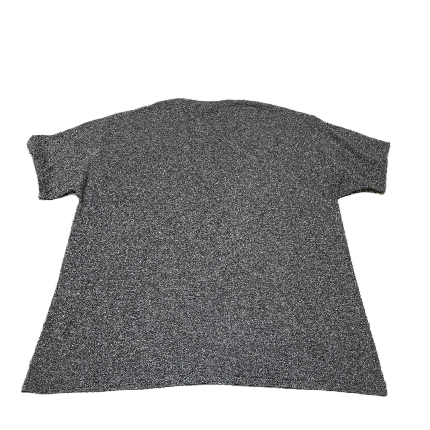 South Carolina Gamecocks T-Shirt Mens M Grey Champion NCAA Football Sports Tee