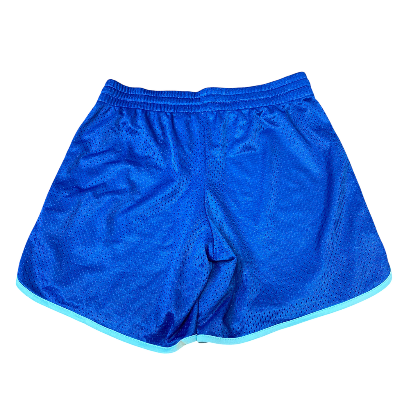 Danskin Now Sprinter Shorts Womens L Blue Mesh Running Elastic Waist Drawstring