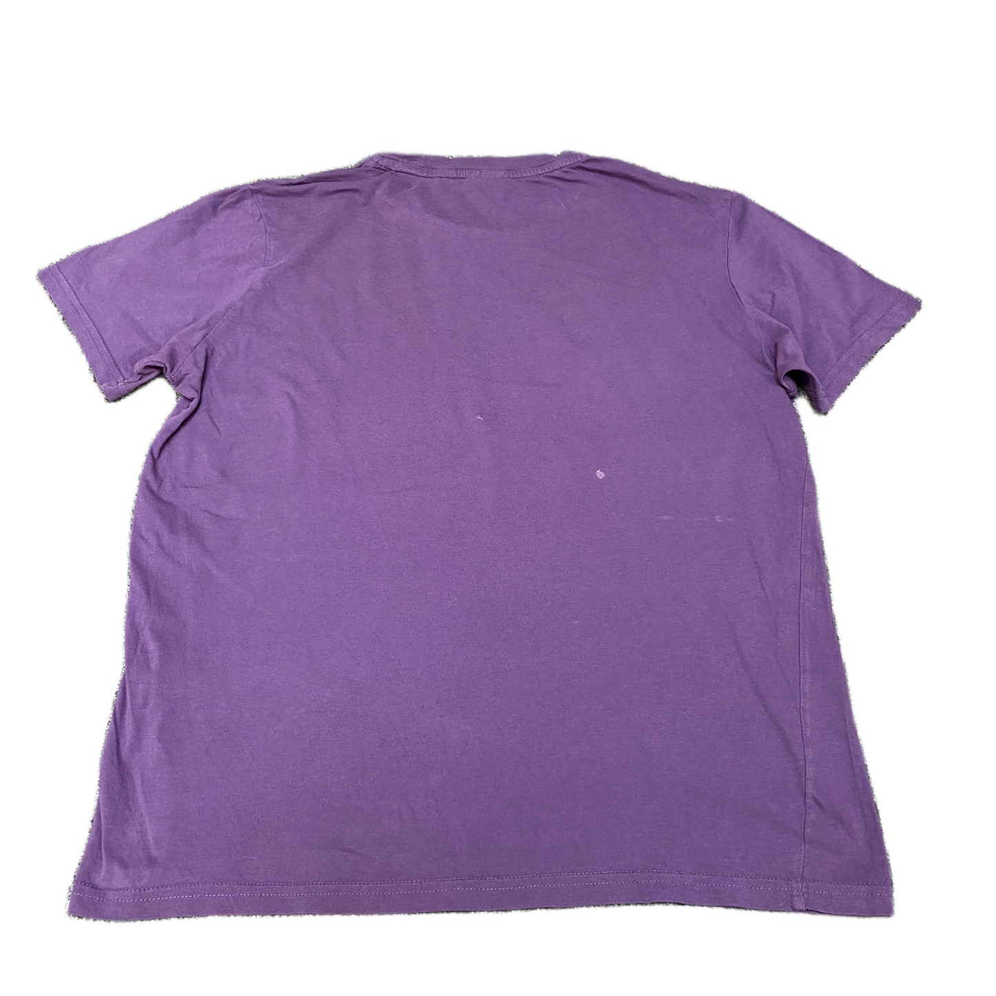 Champion T-Shirt Womens L Purple Legacy American Classic Fit Short Sleeve Tee