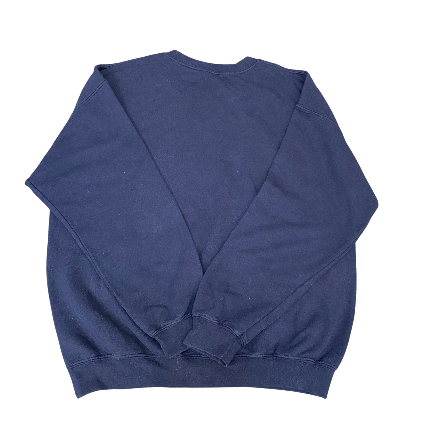 Blizzard World Sweatshirt Mens Large Blue Graphic Print Long Sleeve Crew Neck