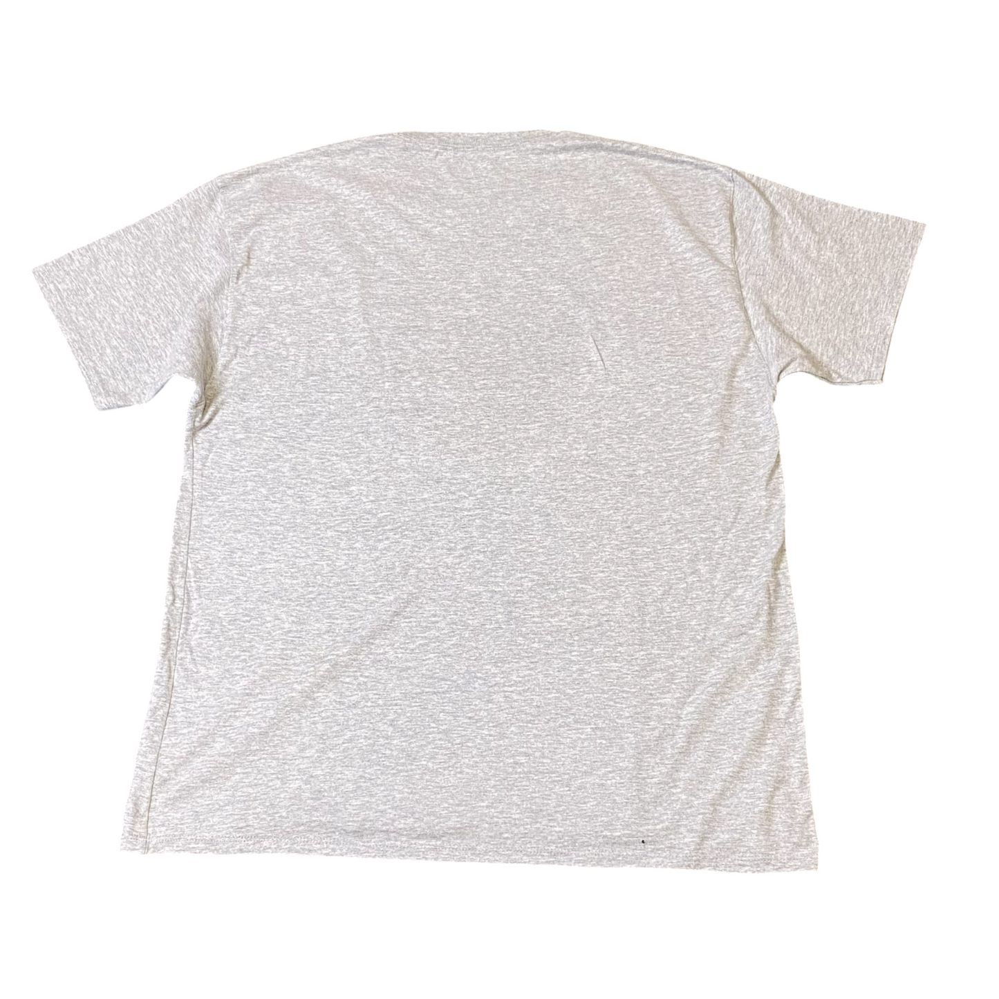 Champion Tee Shirt Mens XL Grey Heather Rainbow Heart Authentic Fit Pullover