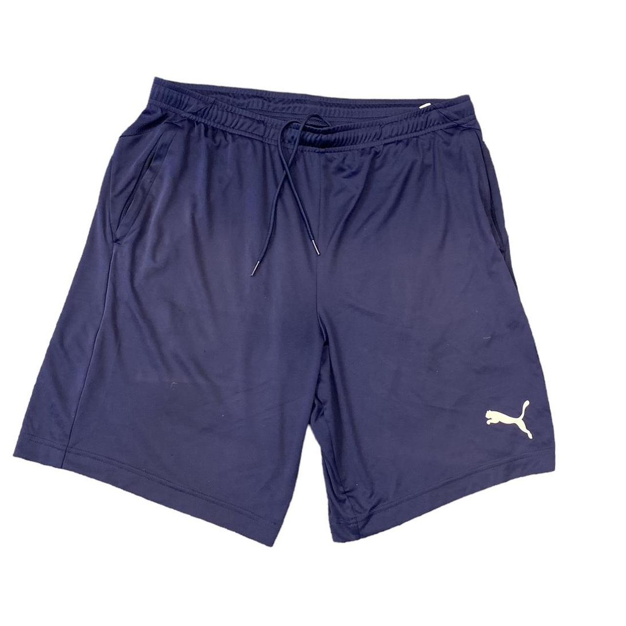 Puma Shorts Blue Men’s L