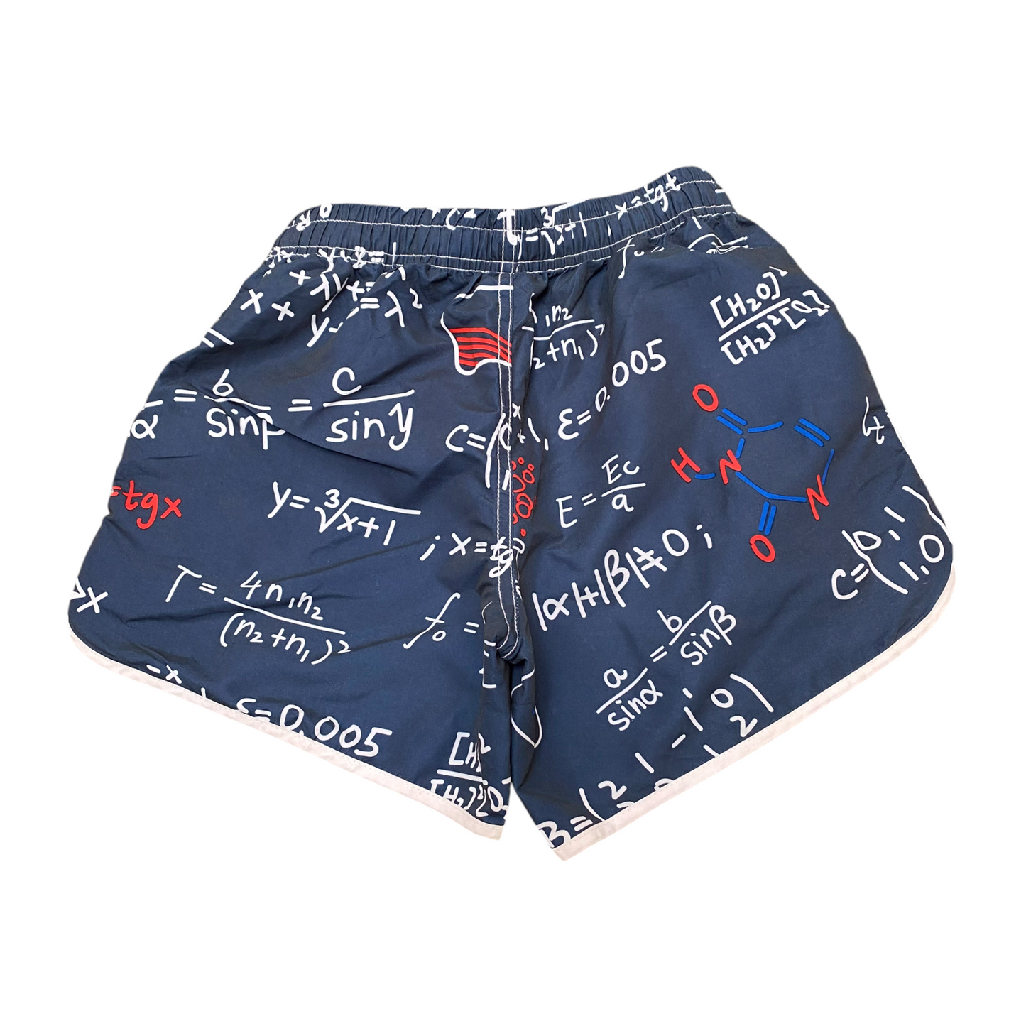 Swim Trunks Shorts Mens Small Blue Printed Drawstring Elastic Waist Dolphin Hem