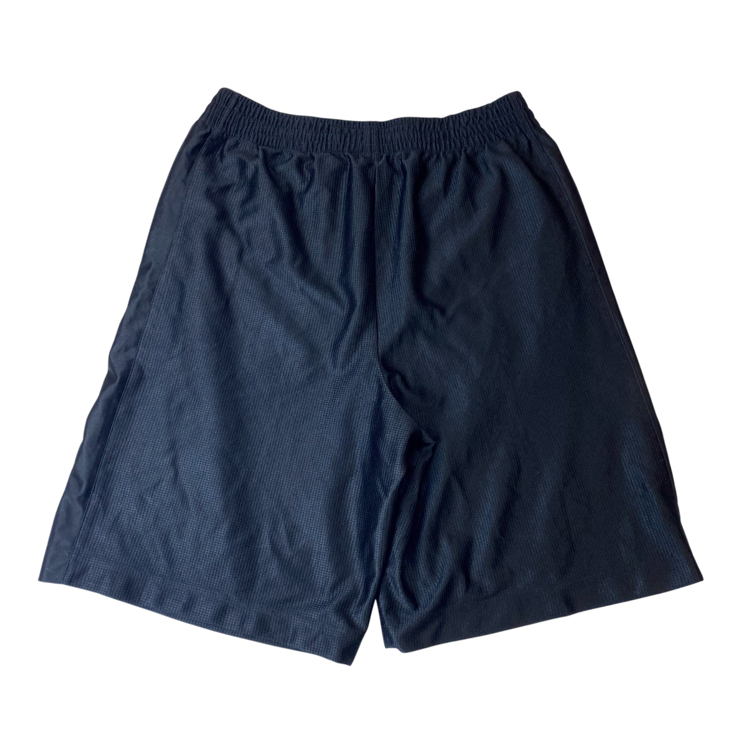 Nike Athletic Shorts Mens M Blue Embroidered Swoosh Logo Elasticband Outdoor