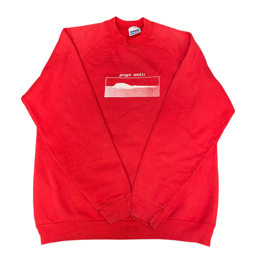 Screen Stars Sweatshirt Mens Large Red Graphic Long Sleeve Crew Neck Pullover