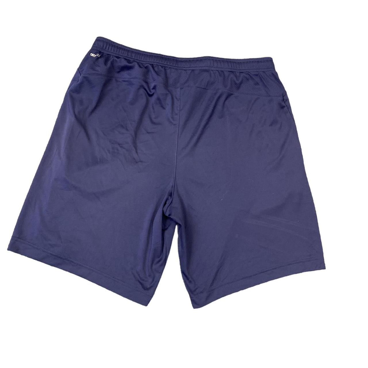 Puma Shorts Blue Men’s L