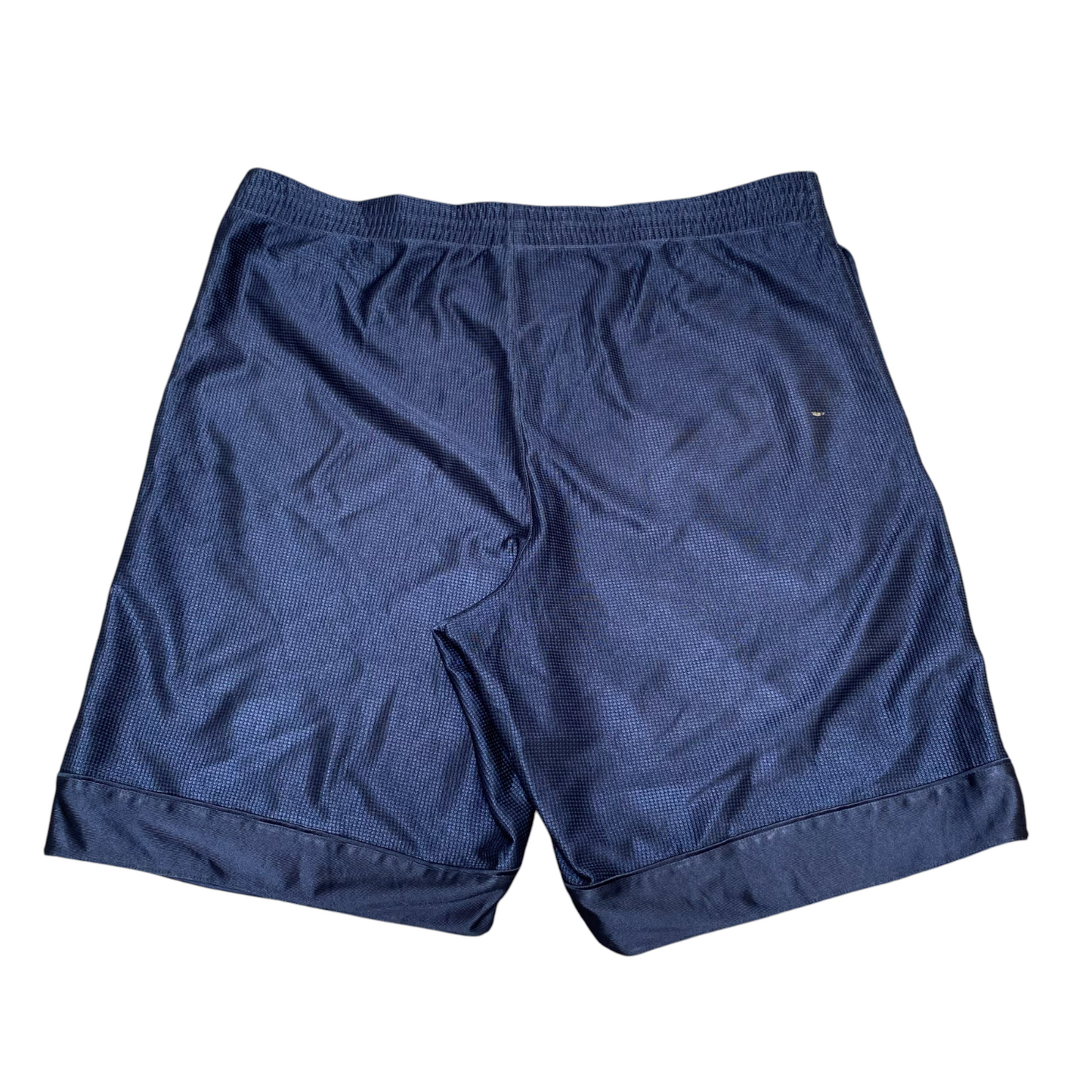 Nike Basketball Shorts Mens Large Blue Dazzle Shiney Athletic Swoosh Logo Preppy
